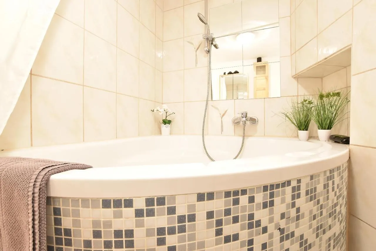 Riesiges Zentrales Apartment Mit Parkplatz Ίνσμπρουκ