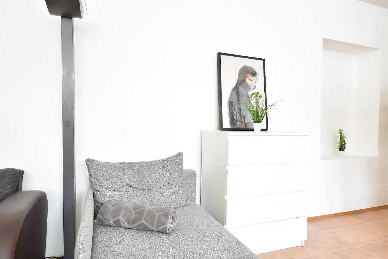 Riesiges Zentrales Apartment Mit Parkplatz Ίνσμπρουκ